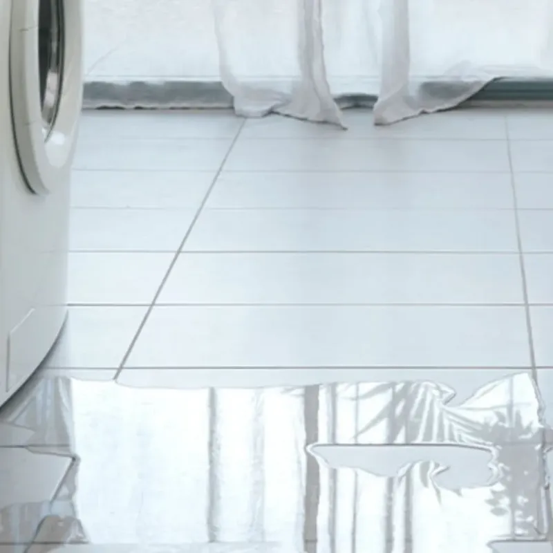 Appliance Leak Cleanup in Spearman, TX