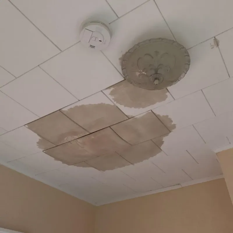 Ceiling Water Damage Repair in Spearman, TX