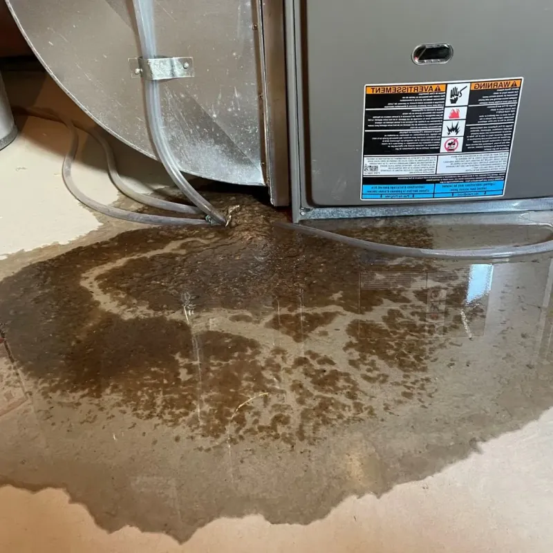 Pipe Burst and Leak Restoration in Spearman, TX